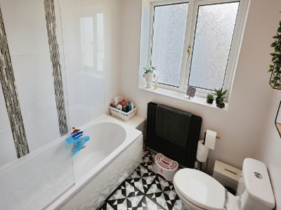 Picture 11
